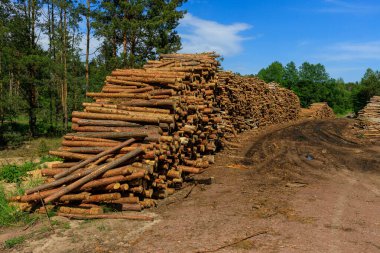 Ağaç uzun bir duvara katlanmış, tahta kesilmiş.