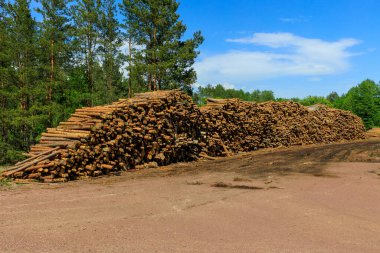 Ağaç uzun bir duvara katlanmış, tahta kesilmiş.