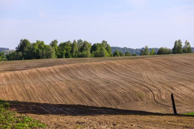 Ukrayna 'daki tarlaların görüntüsü