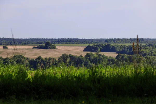 Widok Pola Ukrainie — Zdjęcie stockowe