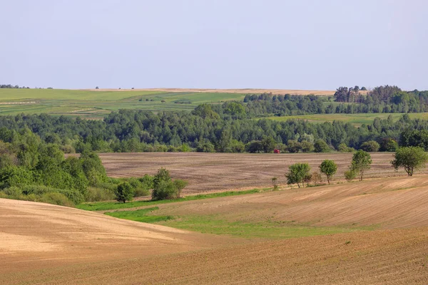 Вид Поля Украине — стоковое фото