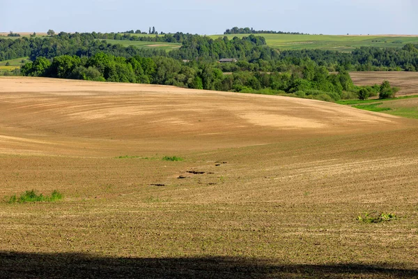 View Fields Ukraine — Stock Photo, Image