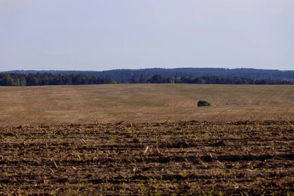 Plowed Field Zhytomyr Region Ukraine — Stock Photo, Image