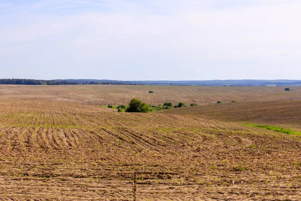 Gepflügtes Feld Zhytomyr Region Ukraine — Stockfoto