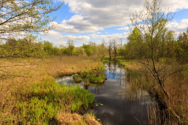 Yasak bölgede nehir