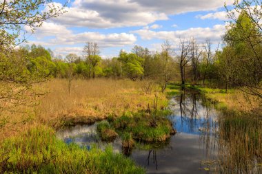 Yasak bölgede nehir