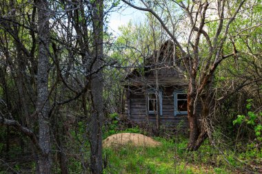 Çernobil bölgesinde terk edilmiş evler.