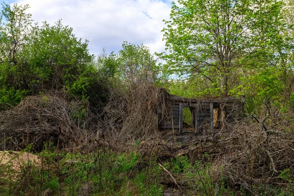 Casas Abandonadas Zona Exclusão Zona Chernobil — Fotografia de Stock