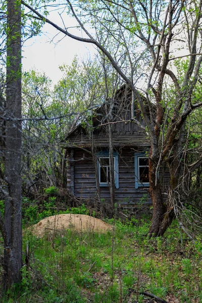Abandoned Houses Exclusion Zone Chernobyl Zone — Stock Photo, Image