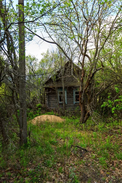 Verlassene Häuser Der Sperrzone Tschernobyl Zone — Stockfoto