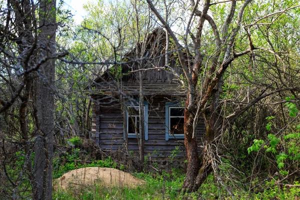 Заброшенные Дома Зоне Отчуждения Чернобыльской Зоне — стоковое фото
