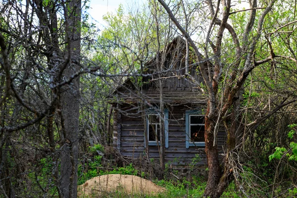 Abandoned Houses Exclusion Zone Chernobyl Zone — Stock Photo, Image