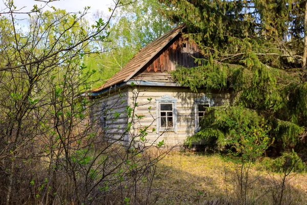 Maisons Abandonnées Dans Zone Exclusion Zone Tchernobyl — Photo