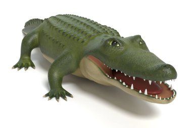 Çizgi film timsahının 3 boyutlu görüntüsü 