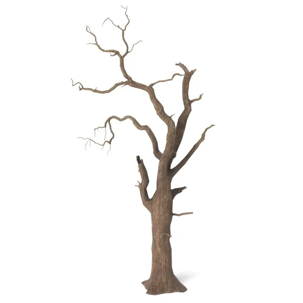 Illustration Spooky Tree — Stock Photo, Image