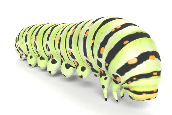 Illustration Caterpillar — Stock Photo, Image