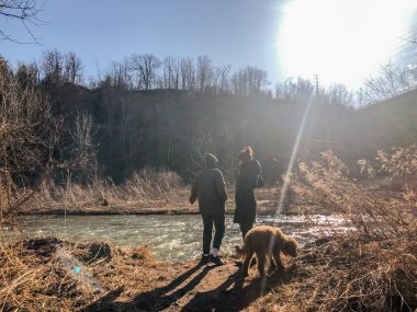Parkta gezen köpek, sonbahar manzarası