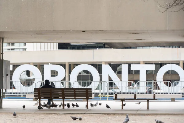 Adam Boş Nathan Phillip Meydanı Nda Önünde Toronto Tabelası Olan — Stok fotoğraf