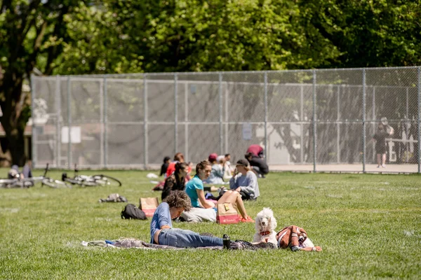 Gente Frequenta Trinity Bellwoods Park Seduto Circoli Distanze Sociali Cerchi — Foto Stock