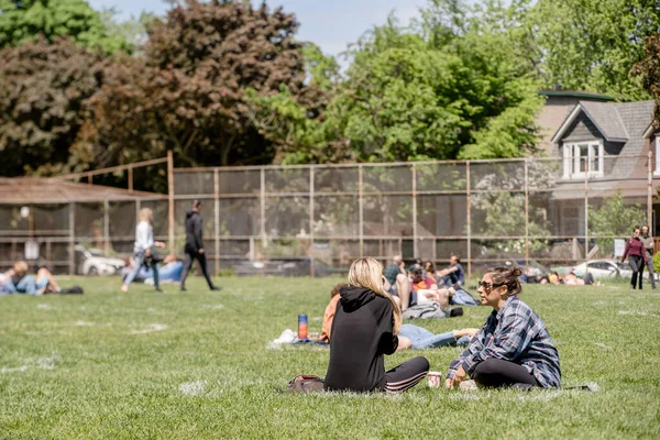 Lidé Poflakují Parku Trinity Bellwoods Sedí Společenských Kruzích Kruhy Mají — Stock fotografie