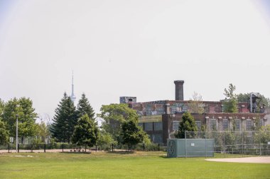TORONTO, CANADA - 21 Ağustos 2017 RONCESVALLES Mahallesi 'ndeki SORAUREN PARK.
