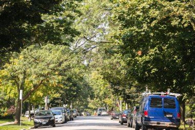 TORONTO, Kanada - 21 AĞUSTOS 2017: BÜYÜK PARK / RONCESVALLES BURHOOD 'DA STETESİK' İN ÖNCE YÜKSEL ARAŞIKLARINDA İSTİYOR.