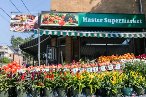 Toronto Kanada Ağustos 2017 Master Avenue Satilik Çekleri — Stok fotoğraf