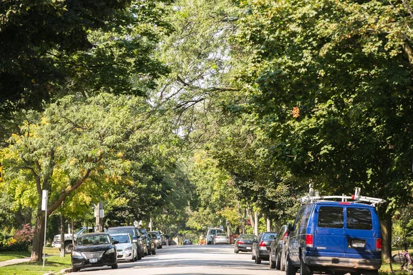 TORONTO, Kanada - 21 AĞUSTOS 2017: BÜYÜK PARK / RONCESVALLES BURHOOD 'DA STETESİK' İN ÖNCE YÜKSEL ARAŞIKLARINDA İSTİYOR.