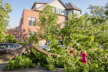 Toronto, Kanada - 16 Haziran 2018 Yağmur Fırtınası Sonrası