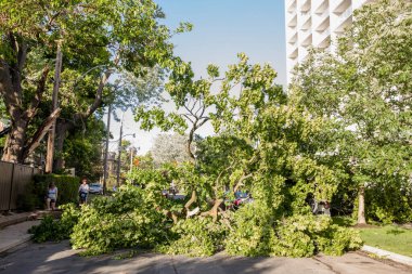 Toronto, Kanada - 16 Haziran 2018 Yağmur Fırtınası Sonrası