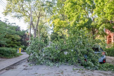 Toronto, Kanada - 16 Haziran 2018 Yağmur Fırtınası Sonrası