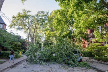 Toronto, Kanada - 16 Haziran 2018 Yağmur Fırtınası Sonrası