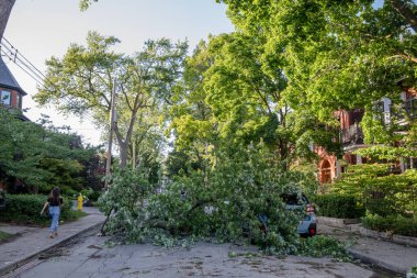 Toronto, Kanada - 16 Haziran 2018 Yağmur Fırtınası Sonrası