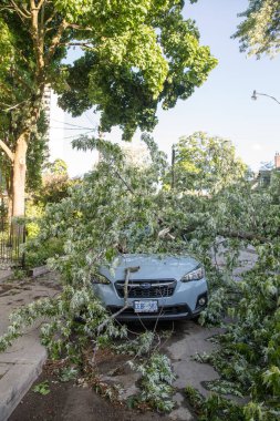 Toronto, Kanada - 16 Haziran 2018 Yağmur Fırtınası Sonrası
