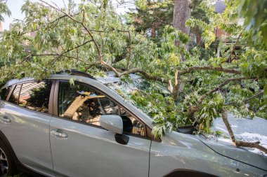 Toronto, Kanada - 16 Haziran 2018 Yağmur Fırtınası Sonrası