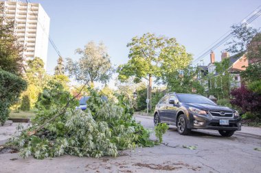 Toronto, Kanada - 16 Haziran 2018 Yağmur Fırtınası Sonrası