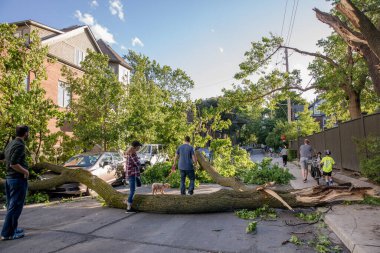 Toronto, Kanada - 16 Haziran 2018 Yağmur Fırtınası Sonrası