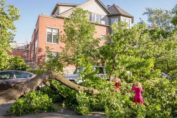 Toronto, Kanada - 16 Haziran 2018 Yağmur Fırtınası Sonrası