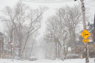 TORONTO, ONTARIO, CANADA - 14 HAZİRAN 2021: Kışlık Park