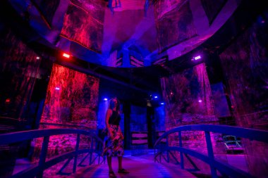 Beyond Monet exhibit at Metro Convention Centre. This remarkable experience allows audiences to embark on a poetic and engaging journey through the work of the leading figure of Impressionism, Claude Monet. 