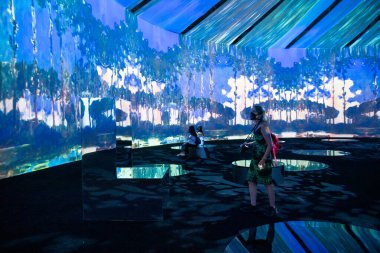 Beyond Monet exhibit at Metro Convention Centre. This remarkable experience allows audiences to embark on a poetic and engaging journey through the work of the leading figure of Impressionism, Claude Monet. 