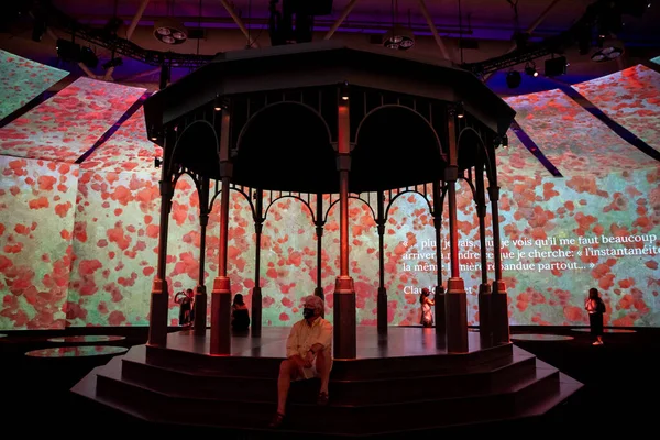 Výstavou Moneta Metro Convention Centre Tento Pozoruhodný Zážitek Umožňuje Divákům — Stock fotografie