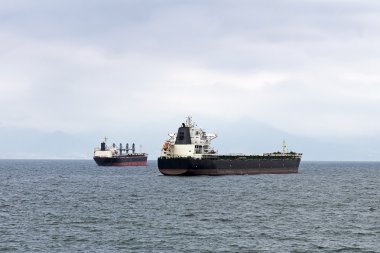 Kargo gemileri Harbor'da demirli.