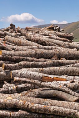 Yakacak odun, yığılmış günlükleri
