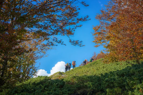 Grupo Excursionistas Caminan Bosque Hayas Una Caminata Otoño — Foto de Stock