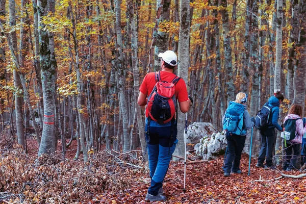 Caminhantes Floresta Faia Durante Temporada Outono Grupo Pessoas Descem Caminho — Fotografia de Stock