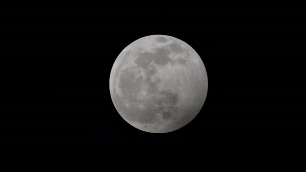 Perfekt Runder Und Heller Mond Vollmond Der Sich Seiner Perigee — Stockvideo