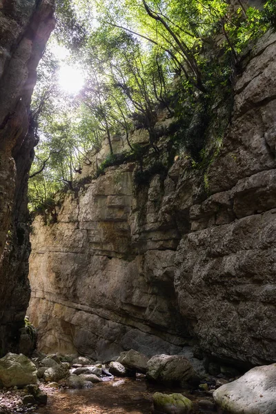 Cañón Tallado Roca Milenaria Por Flujo Del Río Abajo Los —  Fotos de Stock