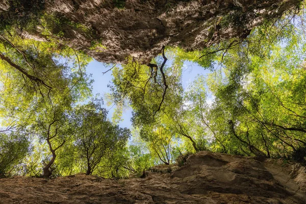 Cheile Adânci Înconjurate Roci Milenare Privite Jos Margini Vegetația Luxuriantă — Fotografie, imagine de stoc