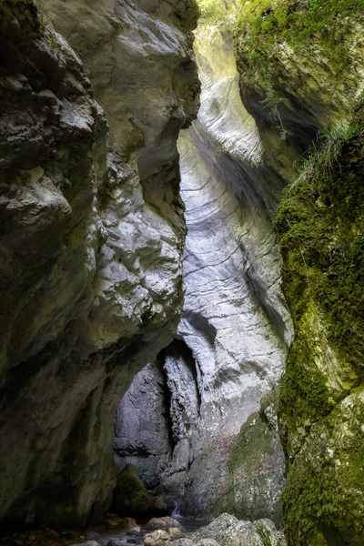 Каньон Вырезанный Скале Тысячелетия Потоком Реки Внизу Краям Пышная Растительность — стоковое фото